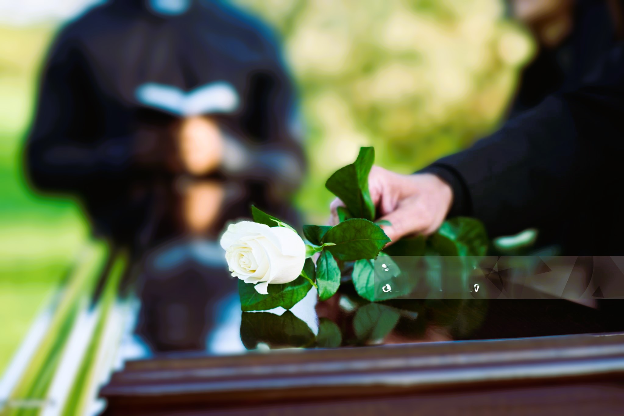 Imatge pels mitjans: Modificació del Reglament del Cementiri i l'Ordenança de Serveis Funeraris